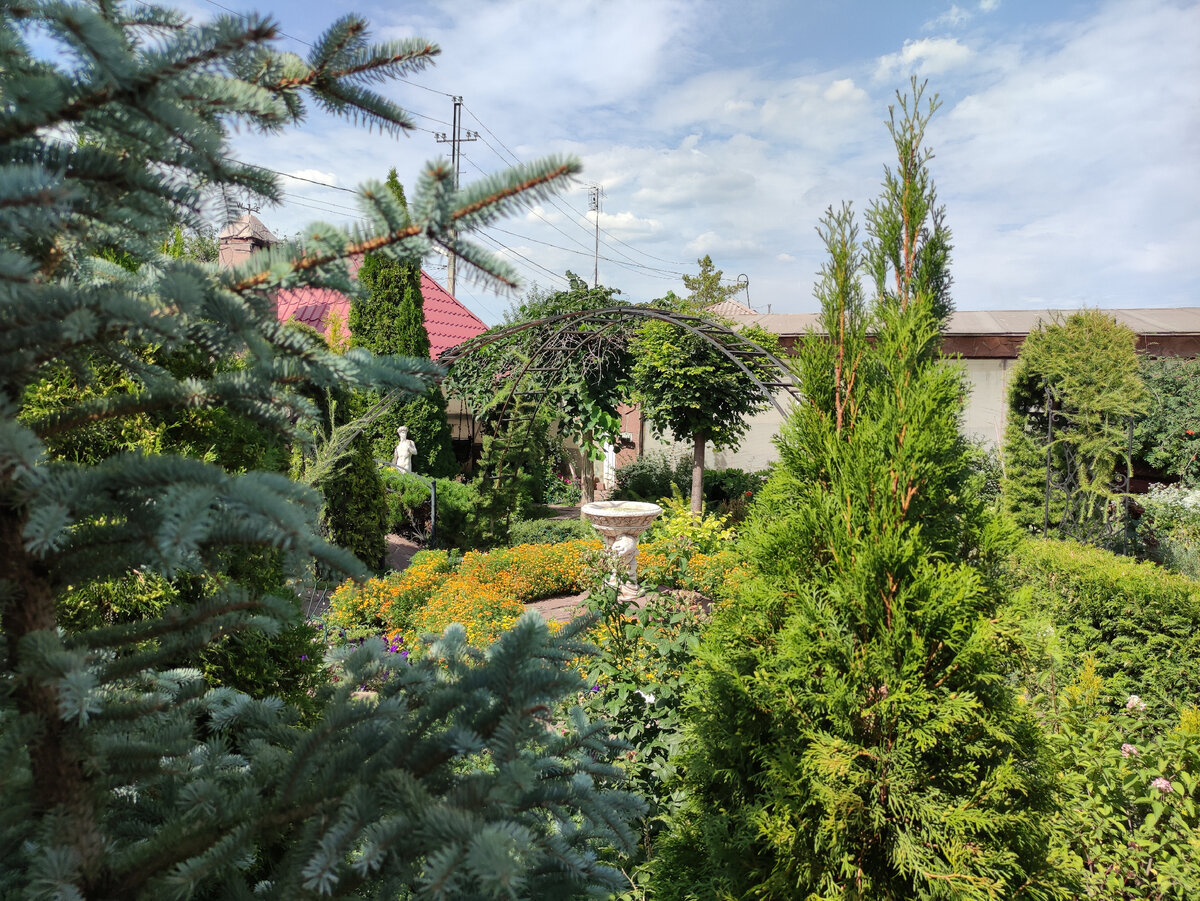 Фото автора