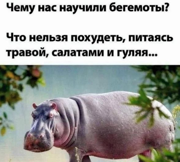 Мем из сети.