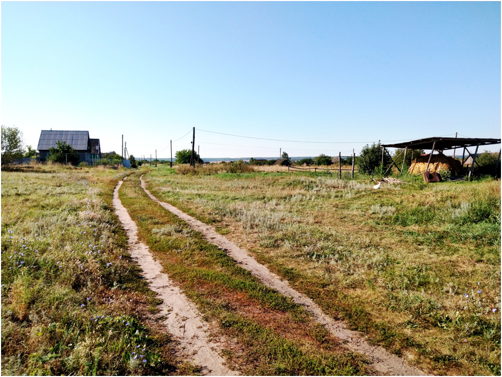 Село Николаевка Саратовская область. Усадьба в селе Николаевка Луганская область.