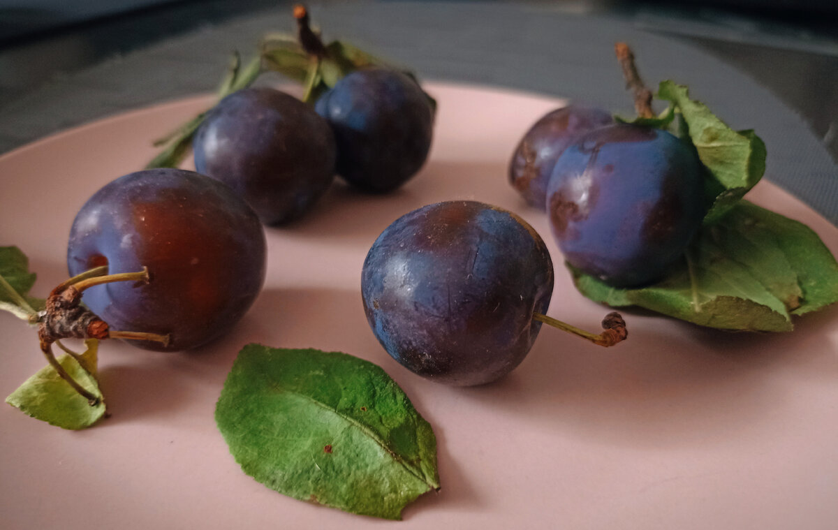 Такие живописные с красными и сизыми бочками