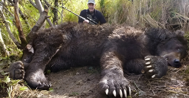 В своей жизненной одиссее человек не всегда сталкивается с проявлениями зла в человеческом облике.-2