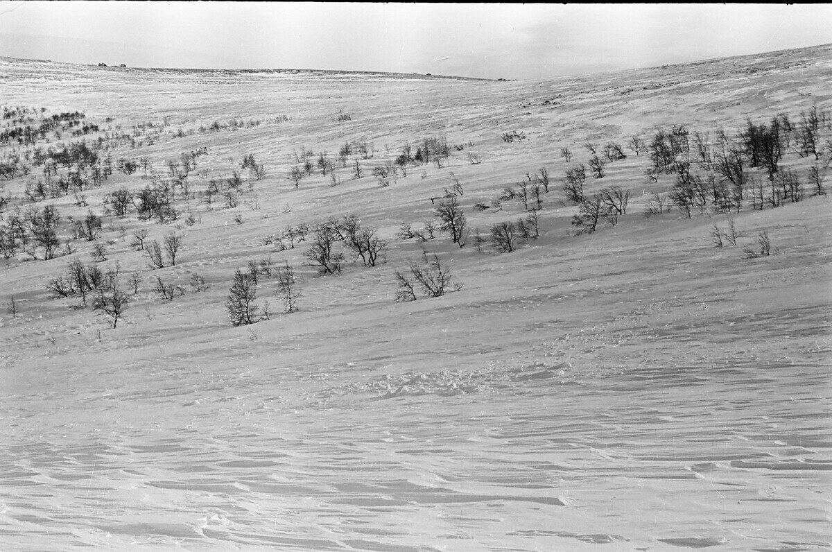 Март 1959 г. Из открытых источников