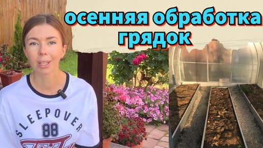 ЧЕМ ОБРАБОТАТЬ ГРЯДКИ ОСЕНЬЮ. ЧТО ВНЕСТИ В ПОЧВУ ПОСЛЕ УБОРКИ УРОЖАЯ