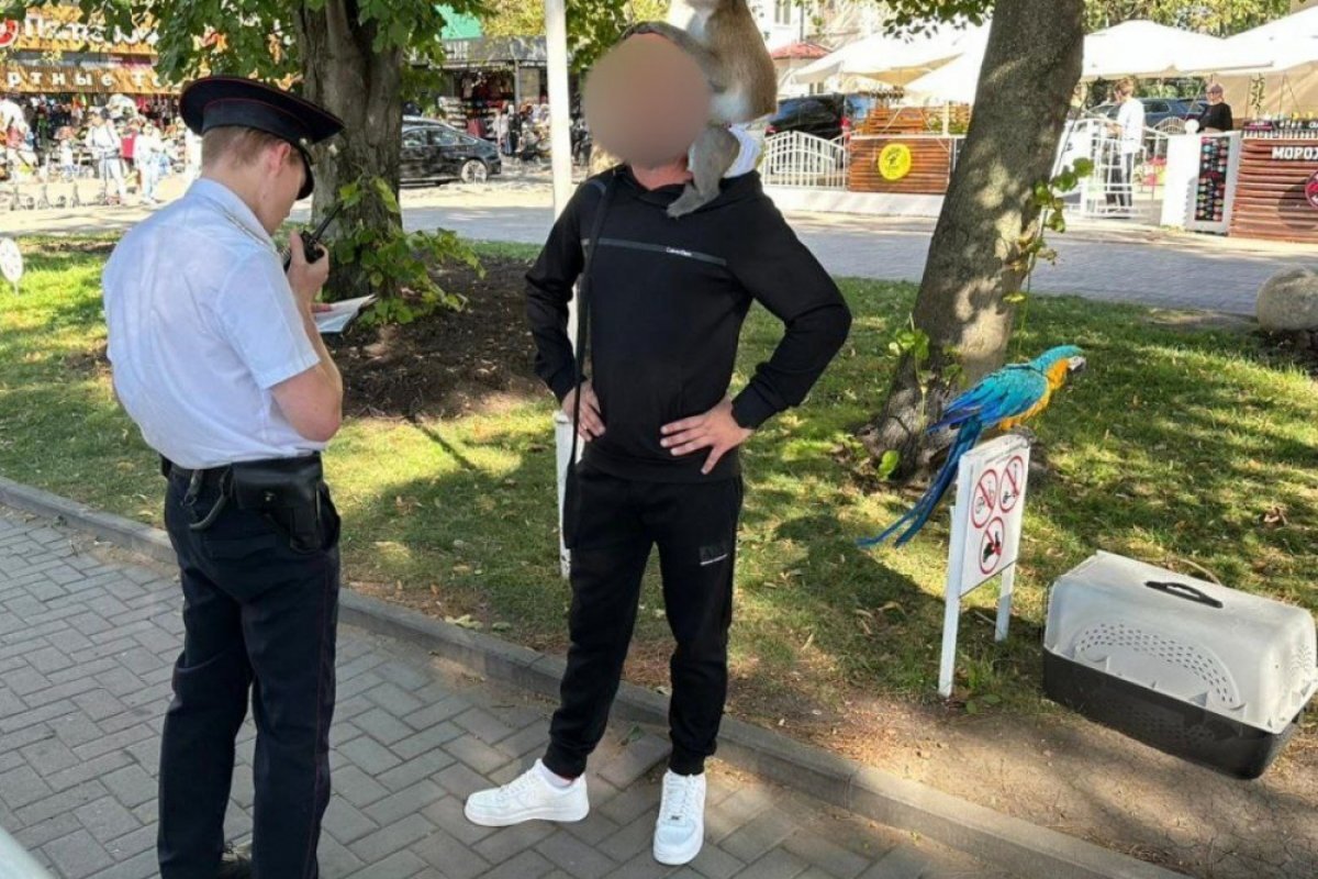    На набережной Геленджика у фотографа изъяли попугая и обезьяну