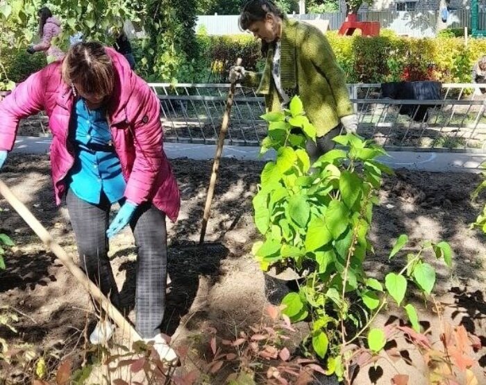    Детский сад №12 в Иванове станет «зеленым»