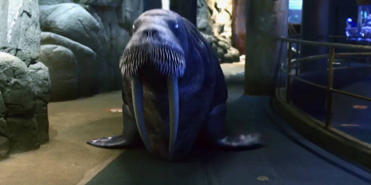Кадр из фильма "Аквариум мертвецов" / Aquarium of the Dead (2021), режиссёр Гленн Миллер