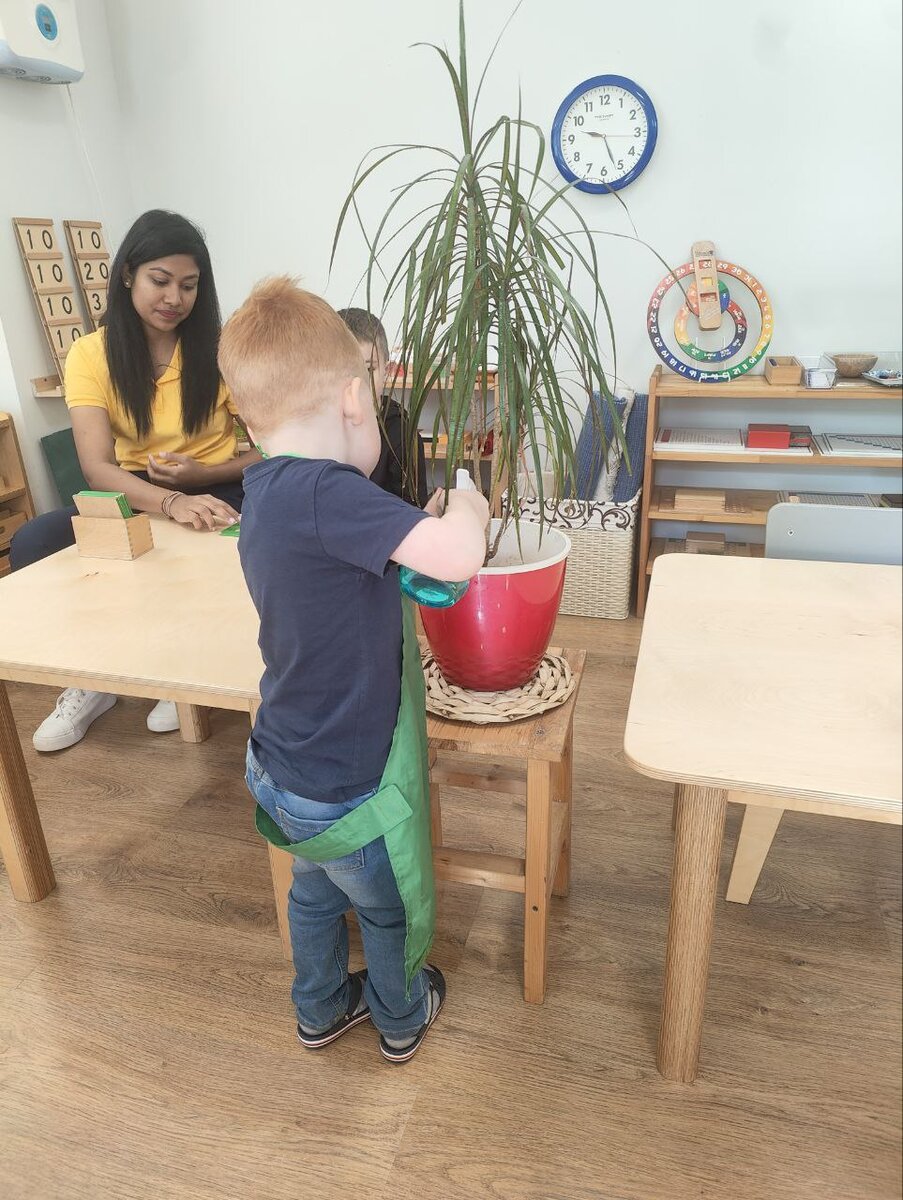 Подготовленная среда способствует развитию компетентности и самообладания в направлении независимости и самодостаточности ребенка. 