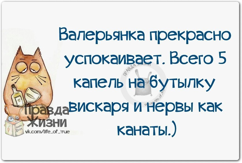 Антидепрессант позитива. Прикольные высказывания про нервы. Смешные фразы про нервы. Цитаты про нервы прикольные. Афоризмы про нервную систему.