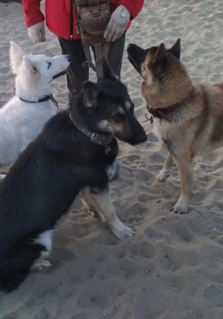 Очередь скопилась