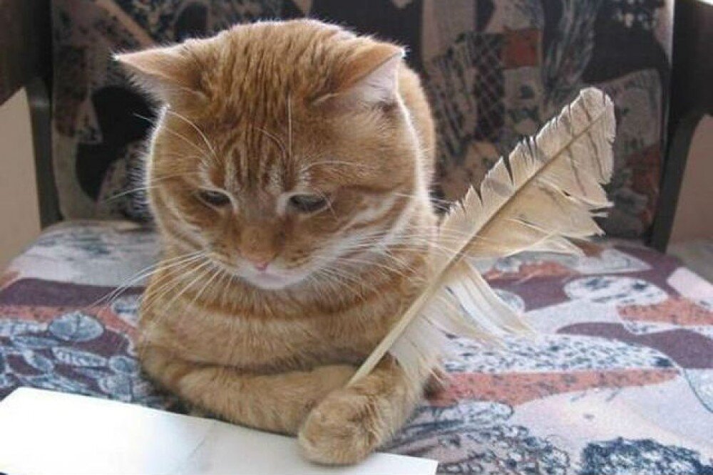  Оглядываясь назад, на свою жизнь, мы видим те моменты, которые привели нас к настоящему.