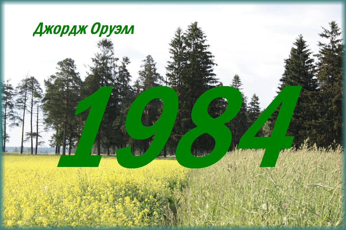 Все фотографии блога публикуются с письменного разрешения автора. 