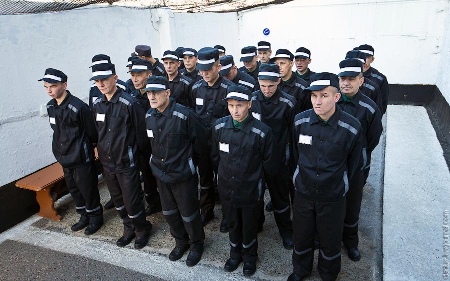 При общении с работниками учреждений «воры в законе» крайне сдержаны в своем поведении