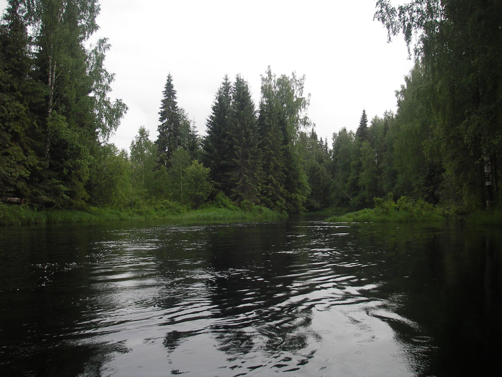 Поселок кула. Река Кулой Пинега. Кулой (река, впадает в белое море). Кулойско Пинежский канал.