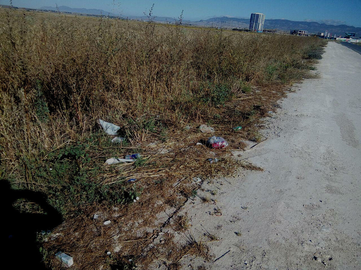 Вот такие нелицеприятные кучки можно увидеть