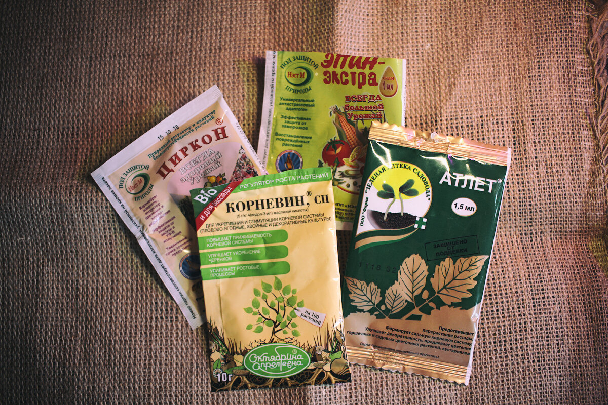 как вы поняли, тестировала я корневин, циркон, эпин и атлет.