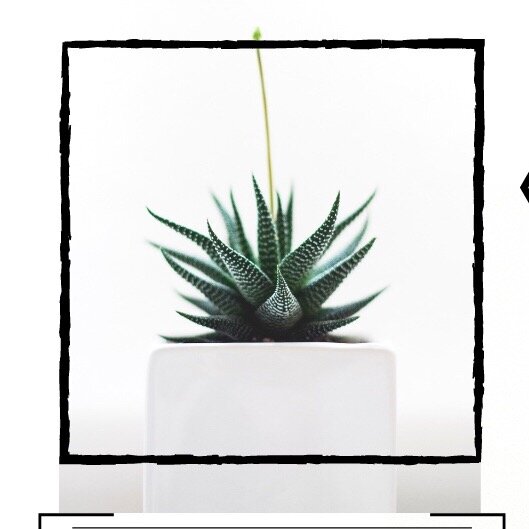 Неудачи и самосаботаж как способ быть любимым