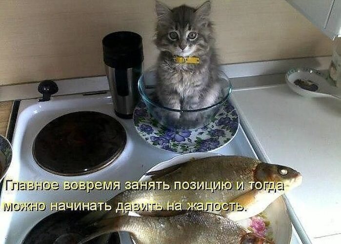 Источник: яндекс.фото 