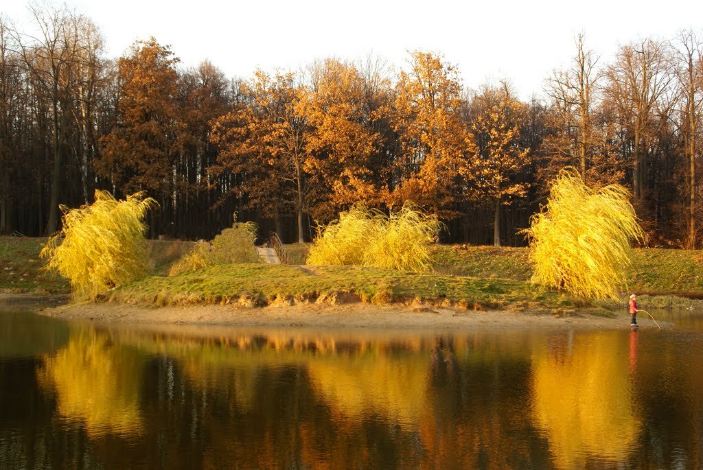 Лосиноостровский национальный парк фото