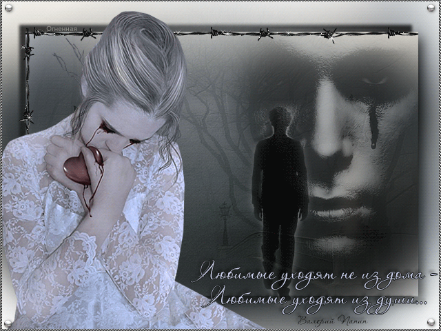 фото Яндекс