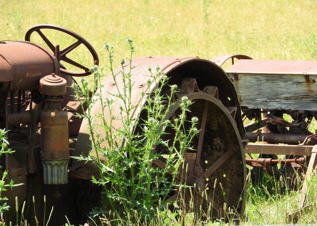 https://c.pxhere.com/photos/1b/1d/tractor_farm_antique_overgrowth_agricultural_farmer_harvest_retro-672928.jpg!d