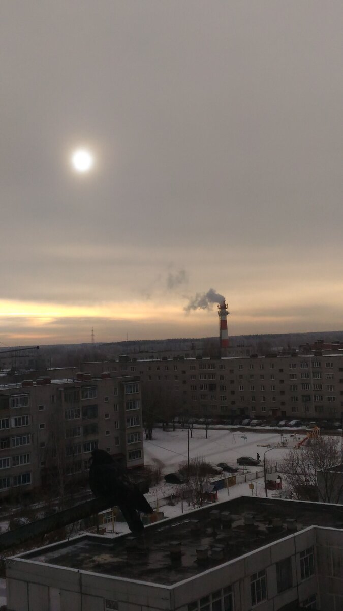 Какое солнышко!