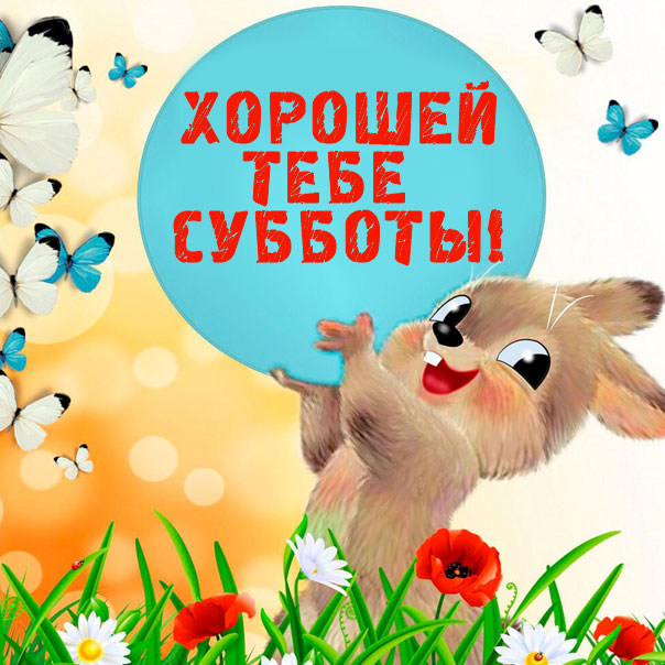 картинка из сети