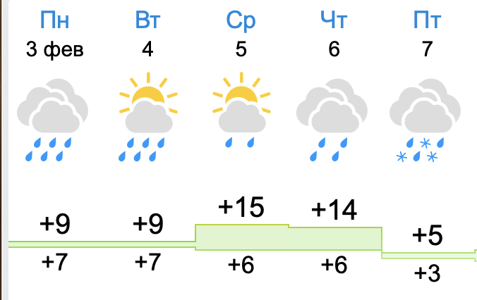 Погода в Сочи на начало февраля