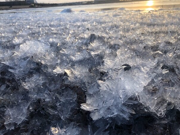 Ледяные кувшинки образовались на Финском заливе в парке 300-летия

 В парке 300-летия Санкт-Петербурга прохожие залюбовались красотой ледяных кристаллов, напоминающих цветы.