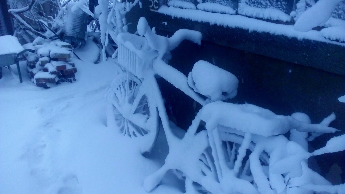 Шли с отцом осматривать что натворила погода, как первое с чего же и посмеялись, забыли машину в гараж поставить:)