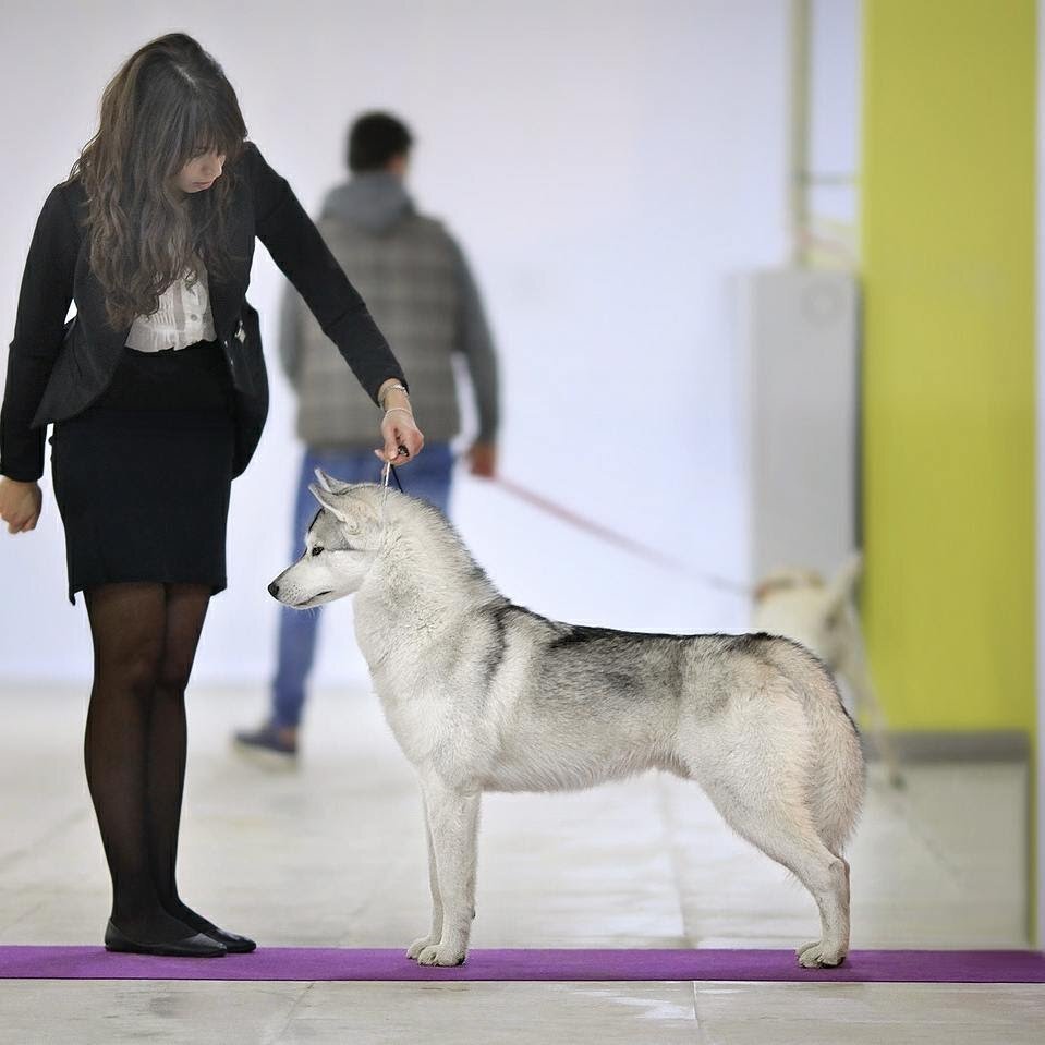 Вот результат помывки, ему тогда было 9 месяцев