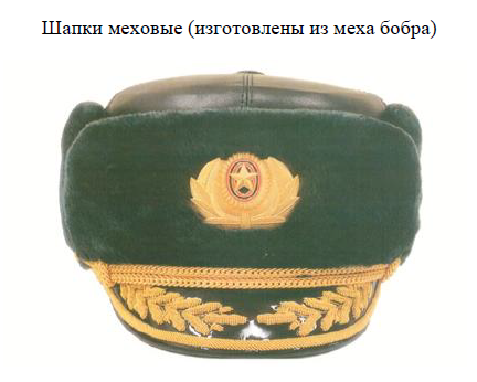 Зимняя шапка полковника нового образца