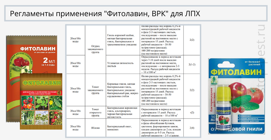 Как развести фитоверм для обработки томатов. Фитолавин фунгицид инструкция. Препарат для растений Фитолавин. Средство от болезней растений Фитолавин 20мл Агроуспех. Фитолавин, 4 мл.