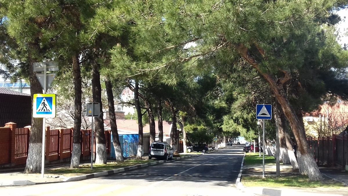 Фото из личного архива 