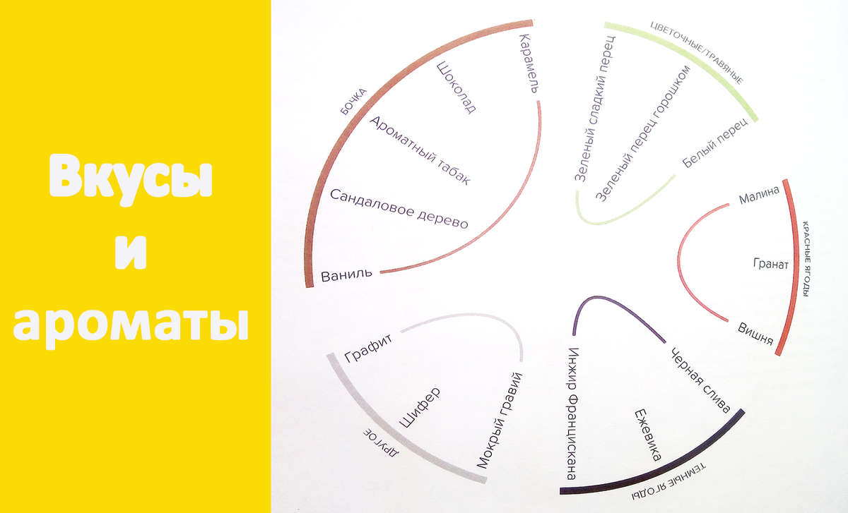 «Вино. Практический путеводитель» Мадлен Пакетт и Джастина Хэммека