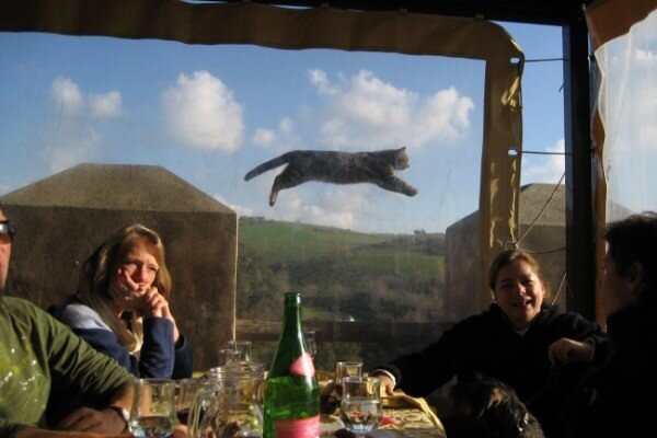 Здравствуйте, друзья! Многие из нас, так или иначе, используют в своей торговле на форекс скользящие средние. Основная проблема этого классического индикатора в том, что он запаздывает.