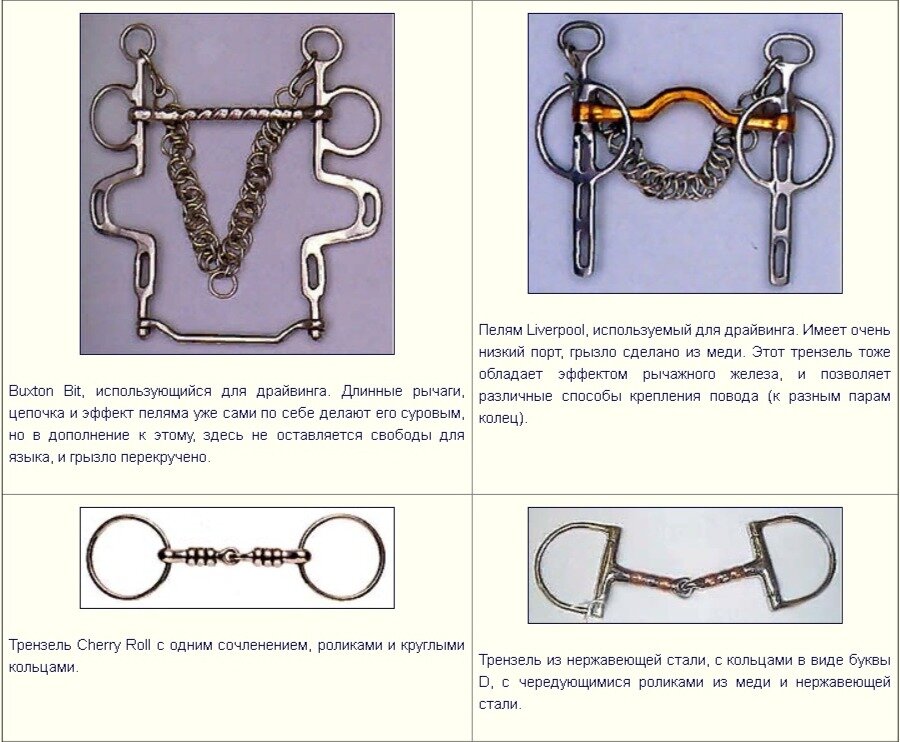 Виды трензелей для лошадей с фото и описанием