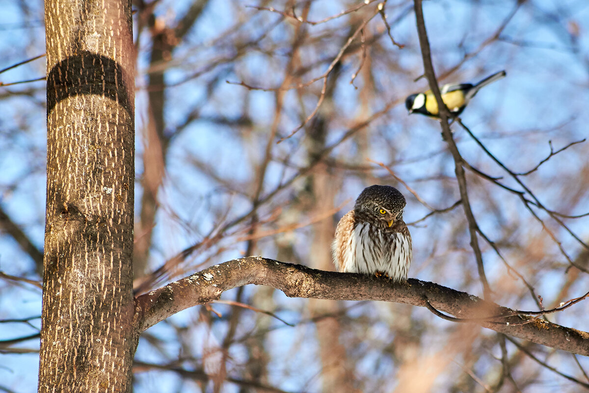 Цель ближе, чем ты думаешь...