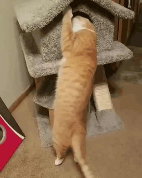 Нажми на картинку, чтобы посмотреть видео. Источник: Ютуб.