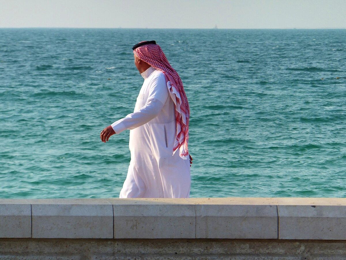 https://cdn.pixabay.com/photo/2016/02/23/15/47/sheik-1217958_960_720.jpg