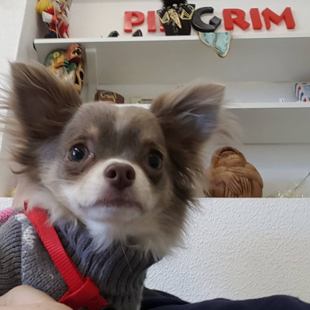 Кого он Вам напоминает?