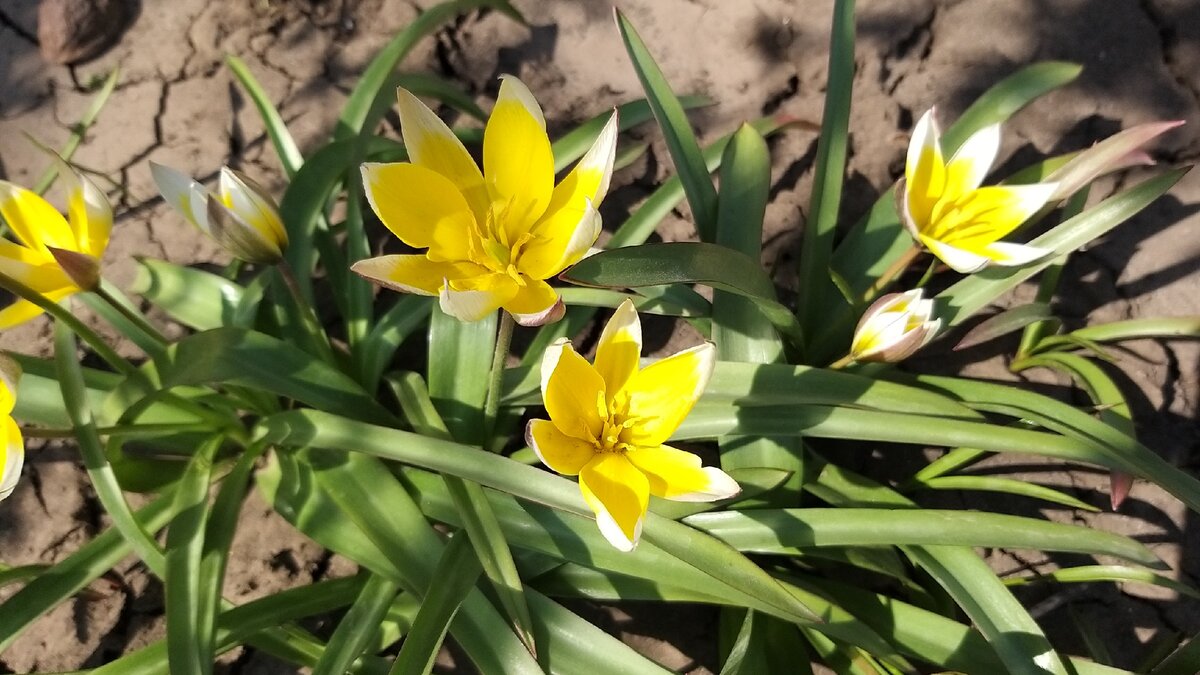 Личное фото.