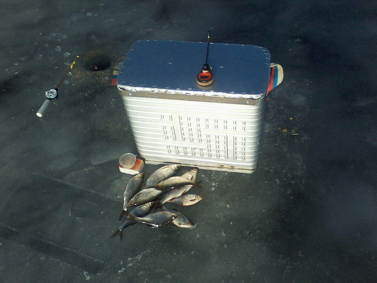 Фото из интернета