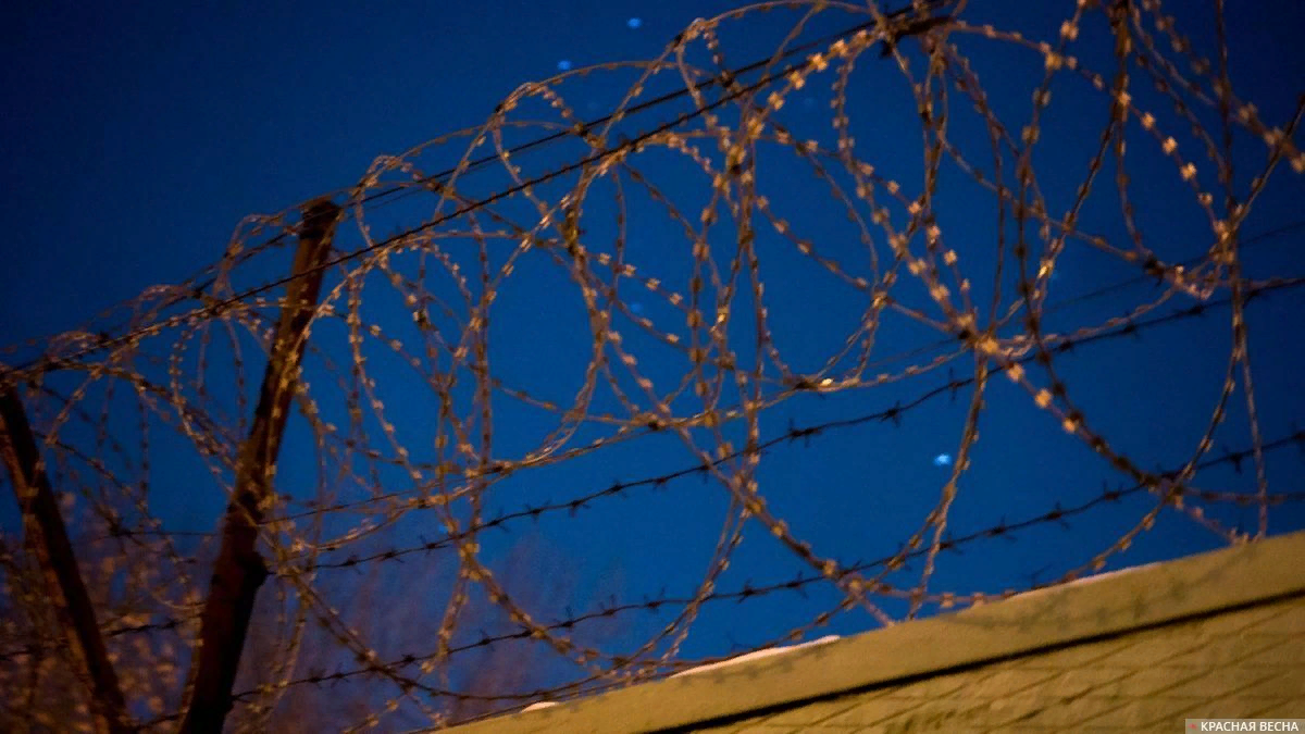 Яндекс картинки .         На фоне колючки небо особенно синее..