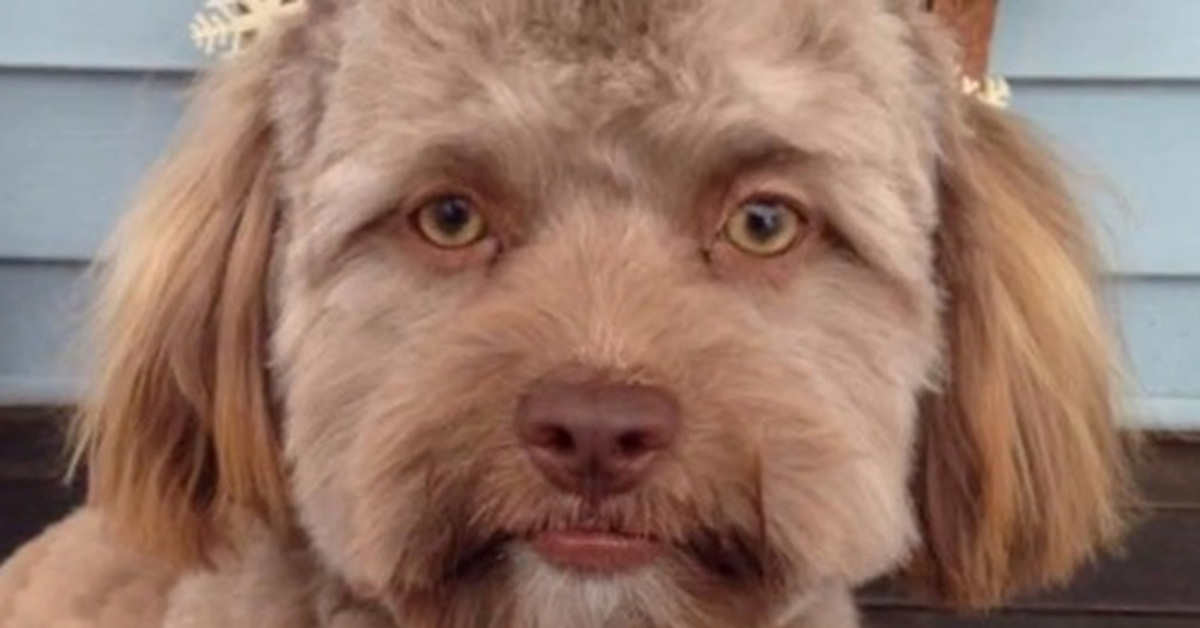 Осмысленный взгляд