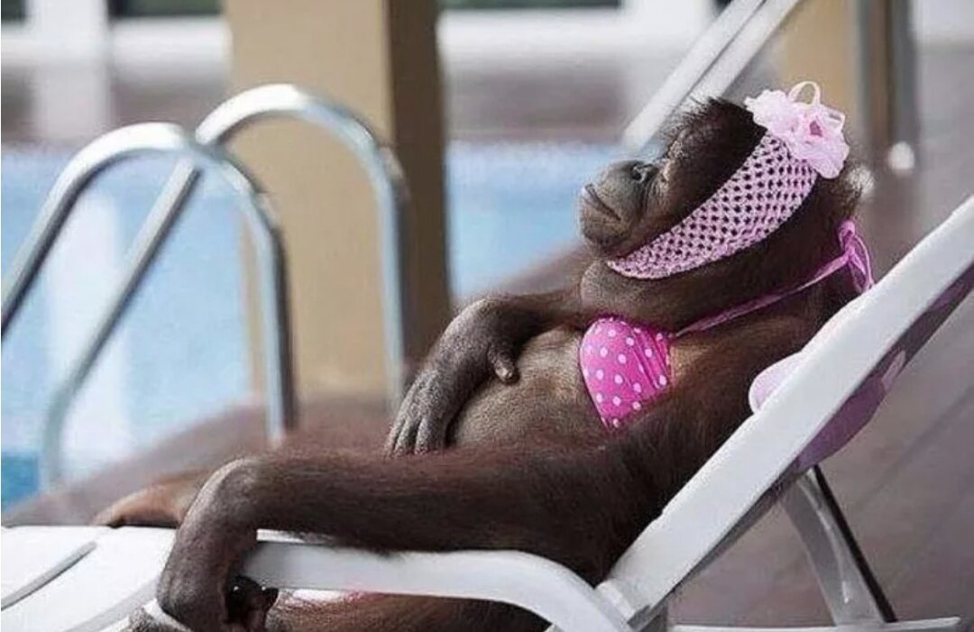 Фото из открытого источника