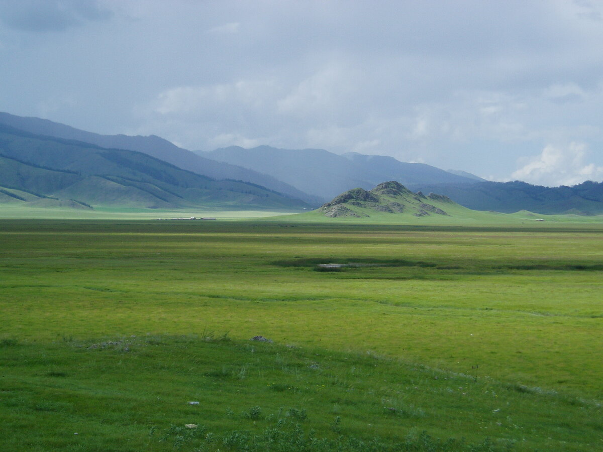 Алтайская степь