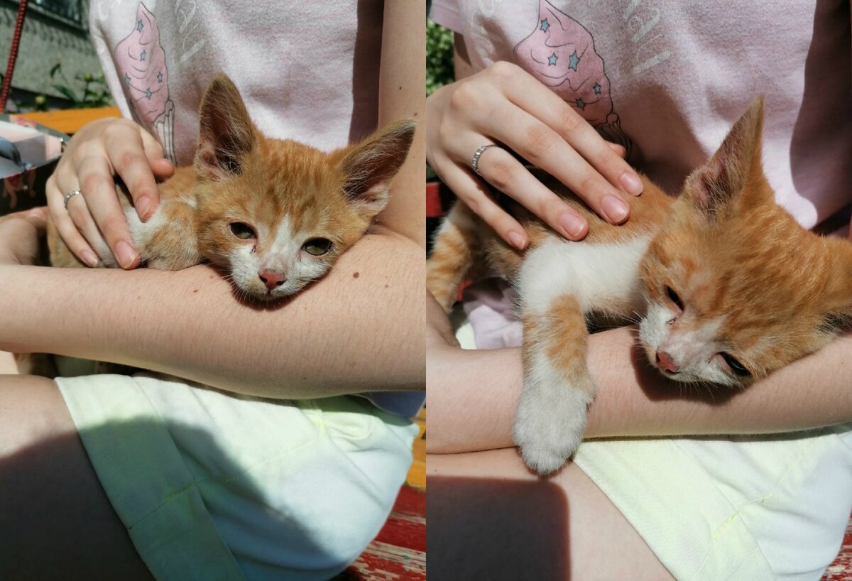 Когда я только пришла, он вот так лежал на руках подруги 