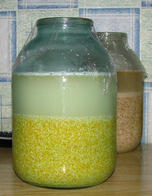 Брожение-клеточное дыхание микроорганизмов, населяющих сусло, сделанное из сахаров, дрожжей и воды. В результате углероды (простые сахара, такие как глюкоза, сахароза) распадаются на этанол и углекислый газ.