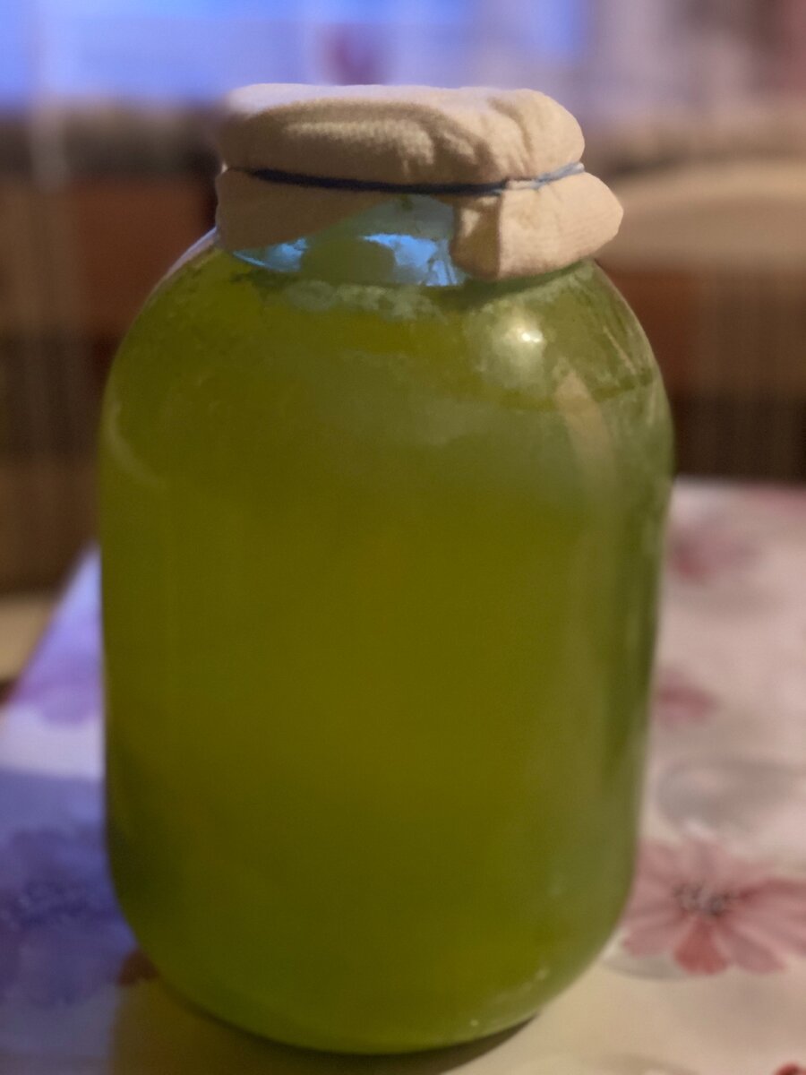 Квас через неделю