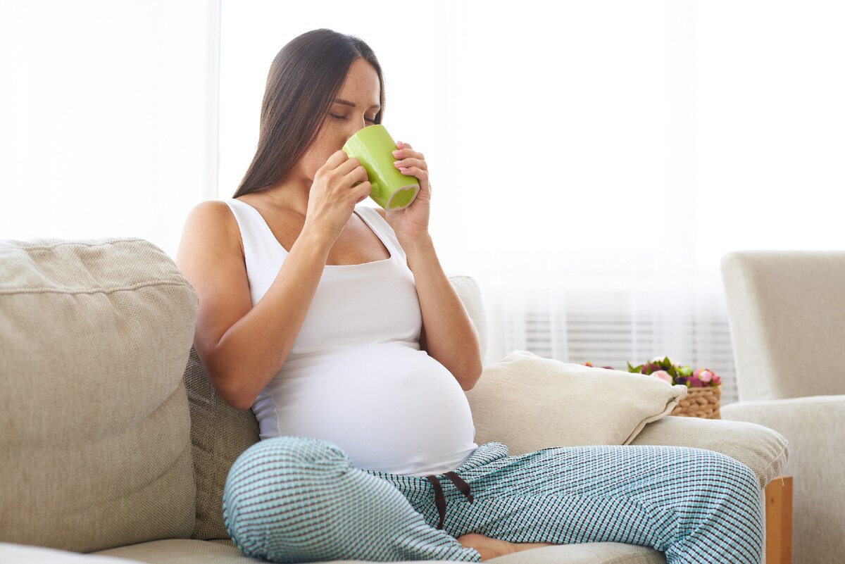 Что попить беременной. Чай для беременных. Травяные чаи и беременность. Зелёный чай при беременности.